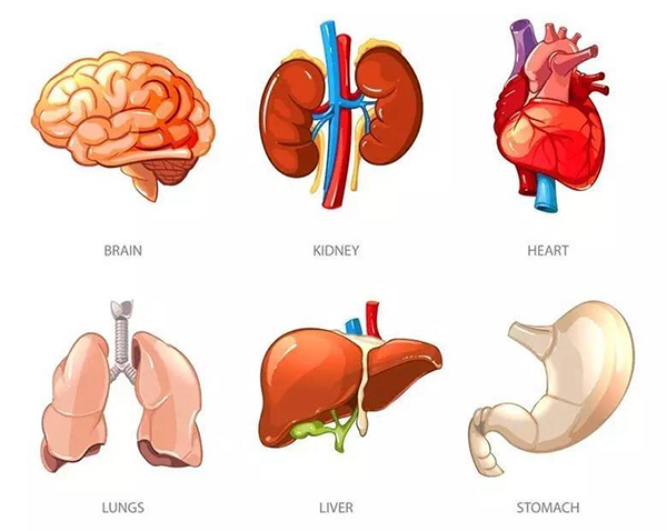 脏腑失调是肿瘤形成的病机吗？五脏病机各有何特点？